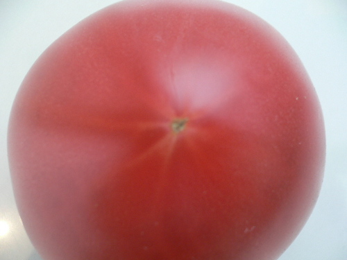 pomodoro619.JPG