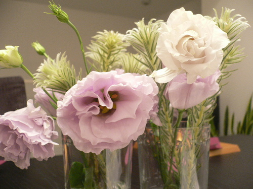 luglio compleanno.JPG