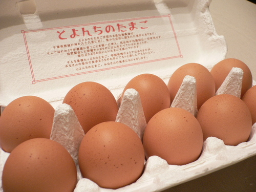 toyonchinotamago2.JPG