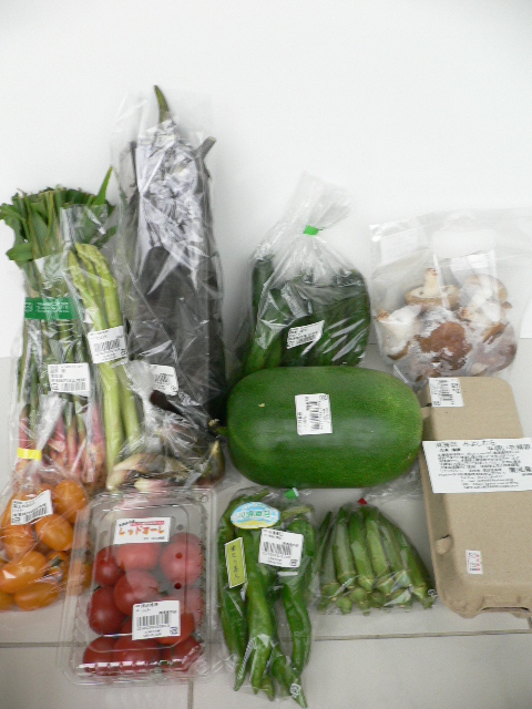 verdure sep 2011 2.JPG