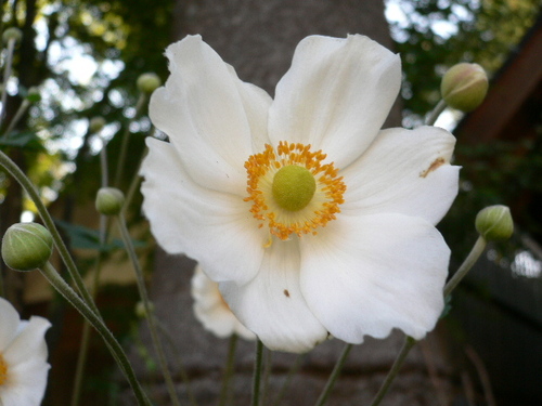 karuizawa2011 (2).JPG