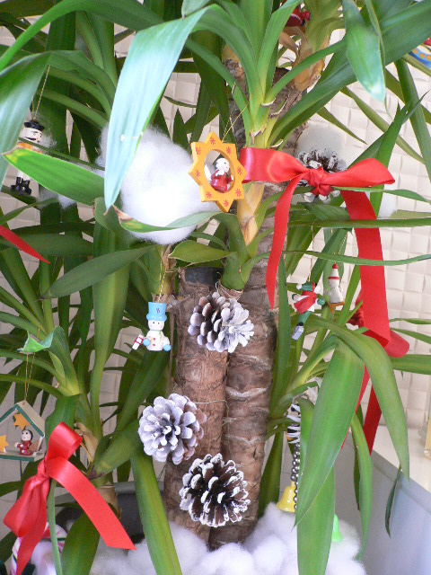 decora natale (2).JPG