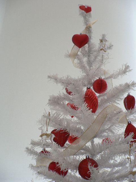 decora natale (4).JPG