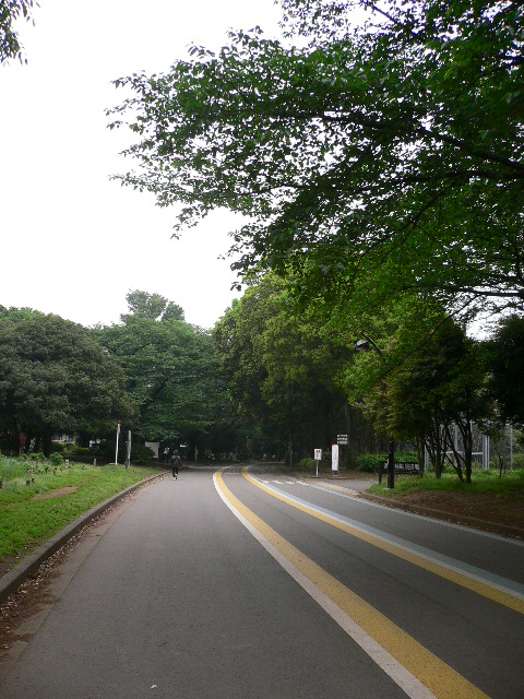 komazawa parco.JPG