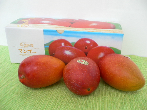 miyakojima mango.JPG