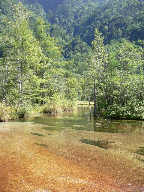 kamikochi4.JPG