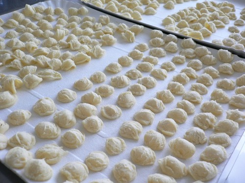 2013orecchiette.jpg