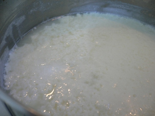 ricotta fatta in casa1.jpg