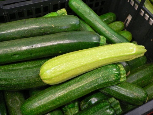 zucchine1.jpg