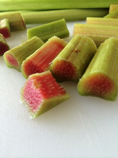 rhubarb1.jpg
