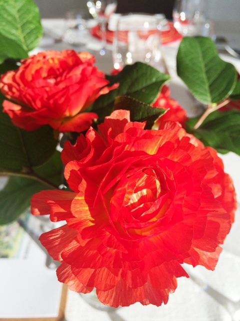 fiori gennaio 2015.jpg