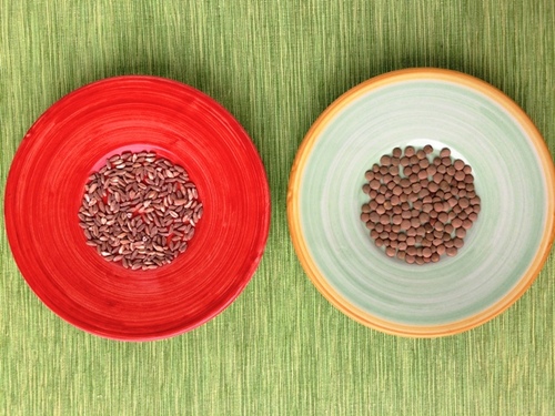 farro e lenticchie per blog.jpg